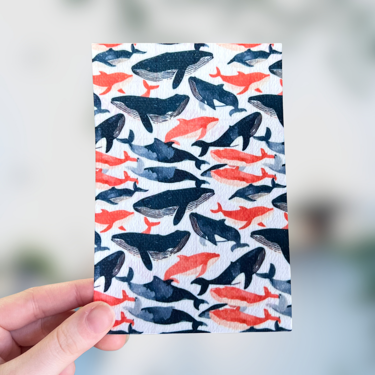 Whales and Sharks Tubie Tape